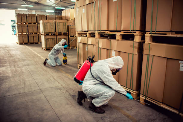 Best Pest Removal Services  in Windsor, CO